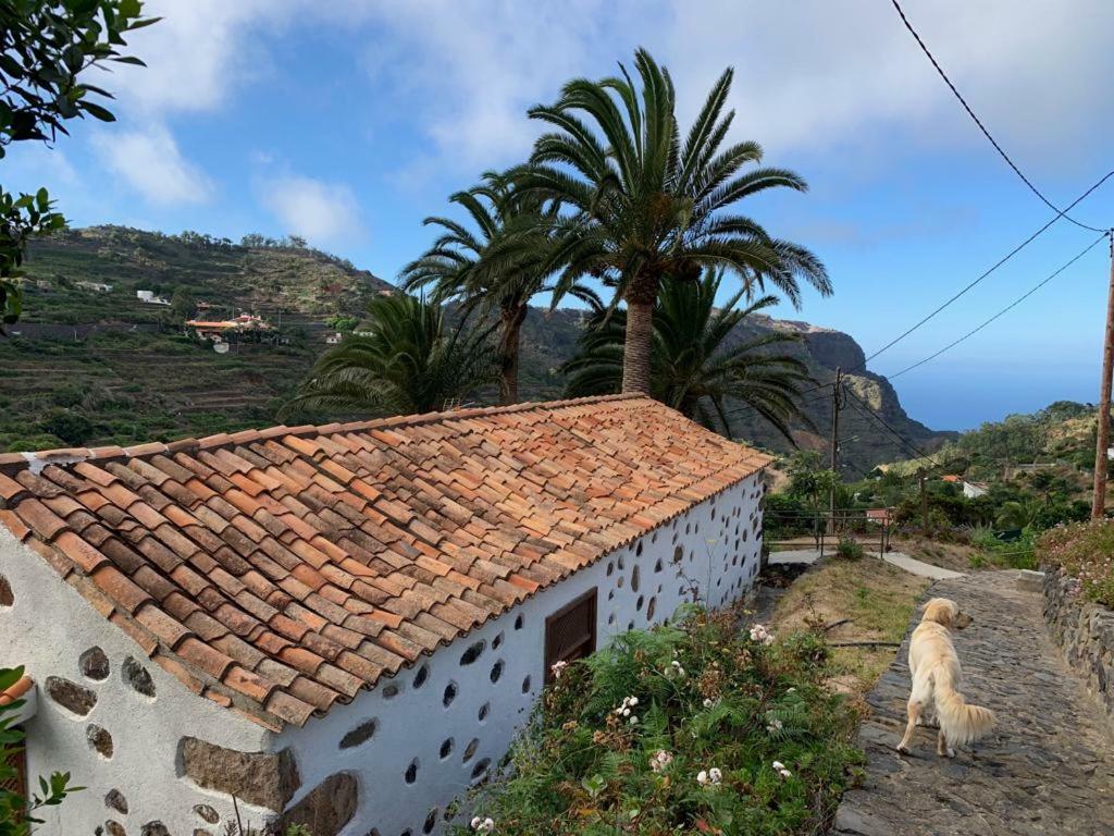 Villa Casa Rural Emilia à Agulo Extérieur photo